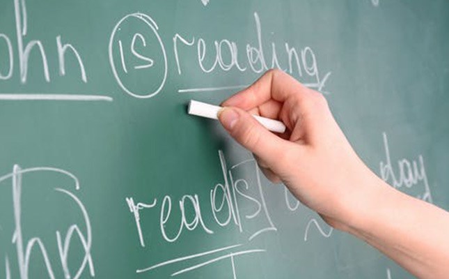 Professional Grammar Workshop